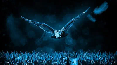 Ubuntu で Bluetooth マウスが使えない時にやるといいかもしれないこと featured image