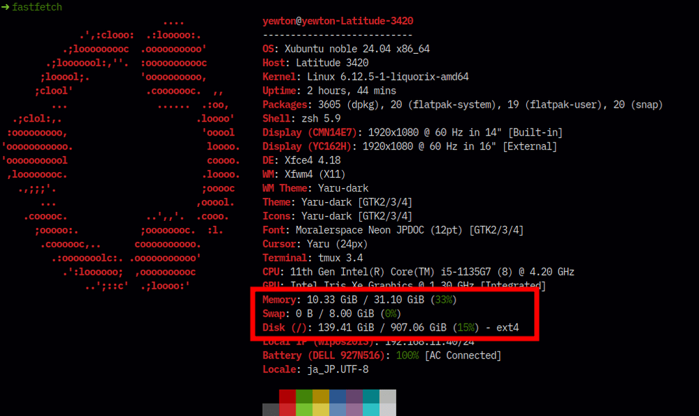 図16:  Memory: 31.10 GiB 、 Disk (/): 907.06 GiB となっている