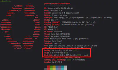 図16: Memory: 31.10 GiB 、 Disk (/): 907.06 GiB となっている